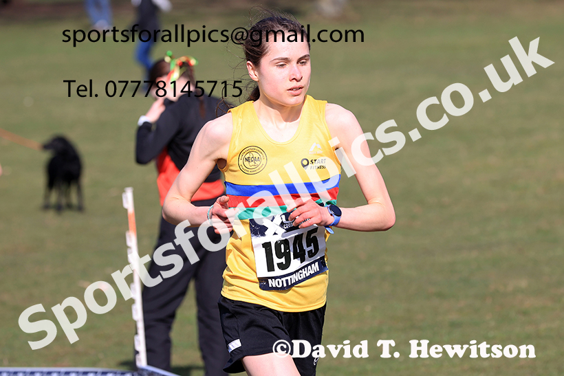 Senior womens 2025 UK CAU Inter Counties Cross Country Champs., Wollaton Park, Nottingham. Photo: David T. Hewitson/Sports for All Pics